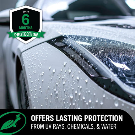Turtle Wax 50984 ICE Seal N Shine Hybrid Sealant Spray Wax and Coating, Insane Water Beading with Paint Protection, Carnauba Infused for Ultimate High Gloss Finish, 16 oz (Pack of 6)