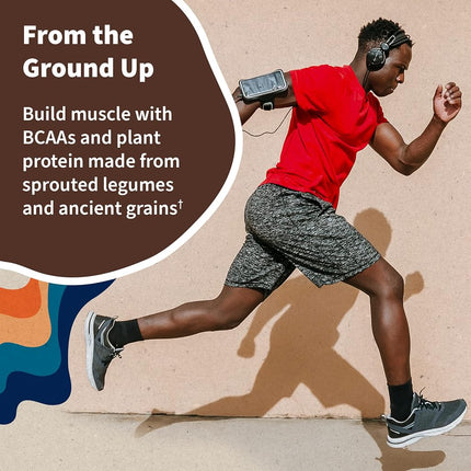Garden of Life Raw Organic Protein Chocolate Powder, 20 Servings *Packaging May Vary* Certified Vegan, Gluten Free, Organic, Non-GMO, Plant Based Sugar Free Protein Shake with Probiotics & Enzymes