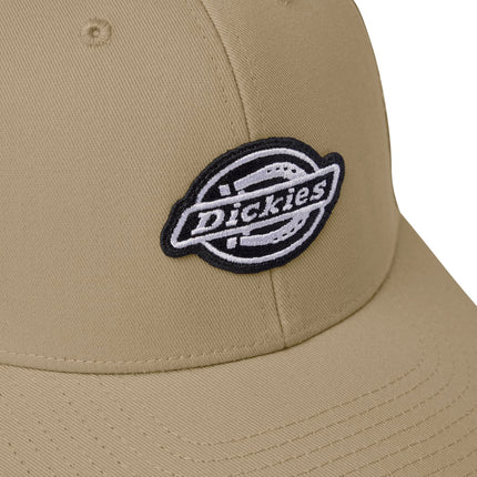 Dickies Black Patch Trucker
