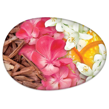 Beauty Bar Soap For Silky Soft Skin Daily Silk With Silk Extract And Floral Oil Essence