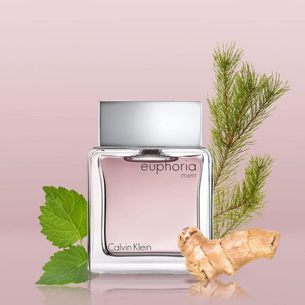 Calvin Klein Euphoria for Men EDT 100ml