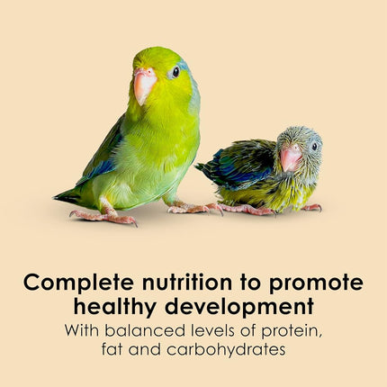 Kaytee Exact Hand Feeding Pet Bird Baby Food For Parrots, Parakeets, Lovebirds, Cockatiels, Conures, Cockatoos, and Macaws, 5 Pound