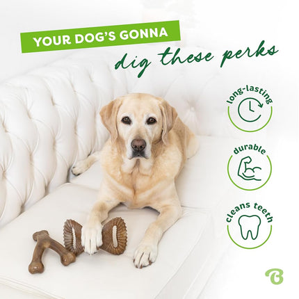 Benebone 2-Pack Wishbone/Dental Durable Dog Chew Toys, Real Bacon, Large