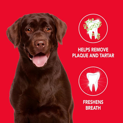Petrodex Enzymatic Toothpaste for Dogs, Pet Dental Care, Poultry Flavor, 2.5 oz