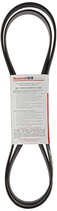 Courroie striée Motorcraft JK6-815-A