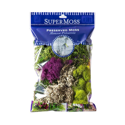Supermoss 100533147 23311 Elegant Decoration, Mixed 120 c, Multicoloured Moss Plant, White