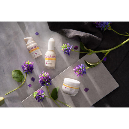 Burt's Bees Renewal Night Cream