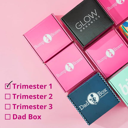 Cadeaux de grossesse Bump Boxes 1er trimestre pour les futures mamans avec bouteille d'eau, carnet, lotion et cartes étapes, cadeau pour la future maman