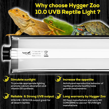 T5 Reptile Fixture Combo Kit, 8W Fixture, Reptile Terrarium Hood, 10.0W UVB Light Bulb, Fluorescent Tube Ideal for Tropical and Desert Areas such as Lagart