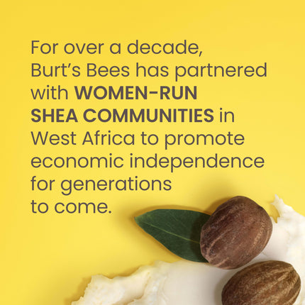 Burt's Bees – Baume à Lèvres à l'Aloès et au Beurre de Karité pour les Bas de Noël, Formule Riche en Vitamines Antioxydantes qui Conserve la Brillance