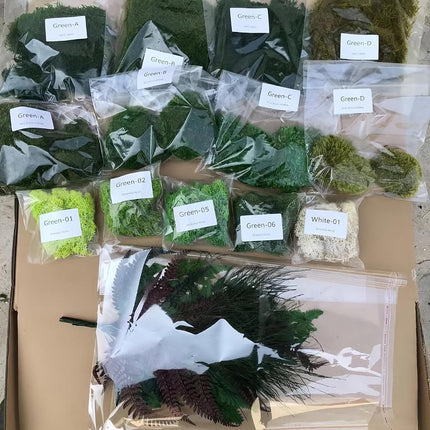 Prefleur DIY Crafts Assorted Moss Kit Mixed Preser
