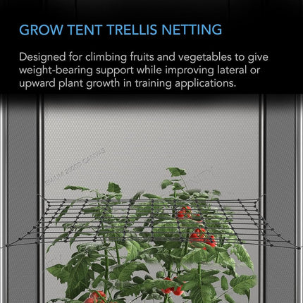 AC Infinity Grow Tent Trellis Netting 4x4'