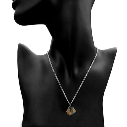 Siskiyou NHL Sports Fan Shop Chicago Blackhawks Chain Necklace with Small Charm 22 inch Team Color