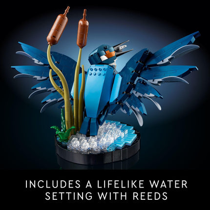LEGO Icons Kingfisher Bird Model, Creative Set for Adults to Build and Display, Ideal for Home and Office D�cor, Bird Lovers Gift, Relaxing Project for Bird Enthusiasts, 10331