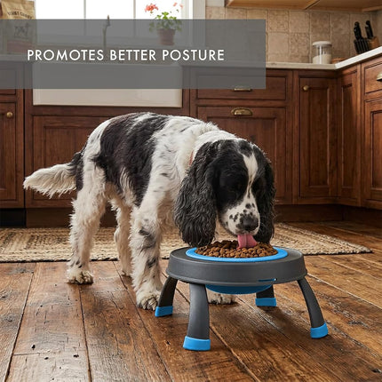 Dexas Single Elevated Feeder Pro Blue
