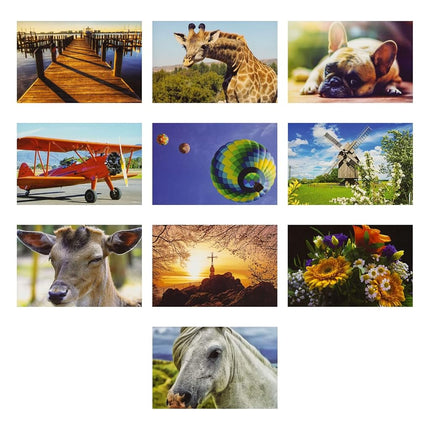 Best Paper Greetings 40 Pack Bulk Animal and Travel Postcards From Around the World for Mailing, Assorted Nature Thank You Notes (4 x 6 In)