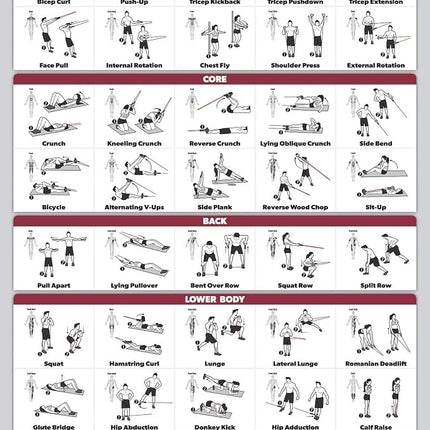Affiche d'exercices avec bandes de résistance QUICKFIT - Recto-verso (Plastifiée, 45,7 cm x 61 cm)