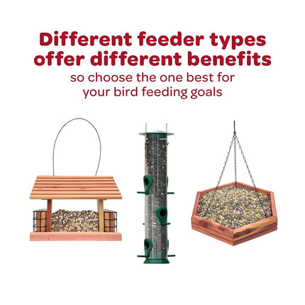 Kaytee Products Wild Bird 100033730 Kaytee Wild Finch Food 5 Pound