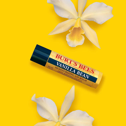 Burt's Bees Vanilla Bean Moisturizing Lip Balm Blister - 0.15oz Lip Balm
