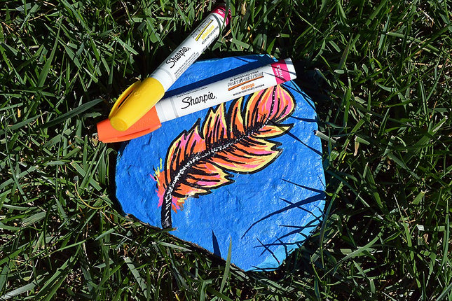 Sanford 35235PP Sharpie Bold Point Oil-Based Poster Paint Marker, Multi-Colour