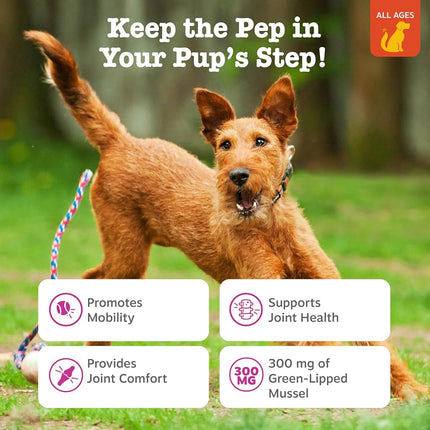Zesty Paws New Zealand Green Lipped Mussel Chewable Treats for Dogs - with Glucosamine & Chondroitin + Omega-3 Fatty Acids & Protein - 500 Mg Dog Hip & Joint Support Supplement Soft Chews - 90 Count