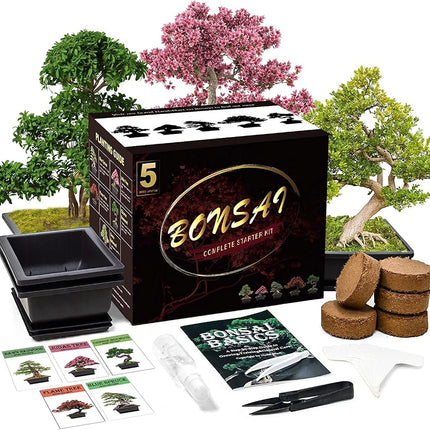 Meekear 5 Bonsai Tree Kit with Complete Plant Grow