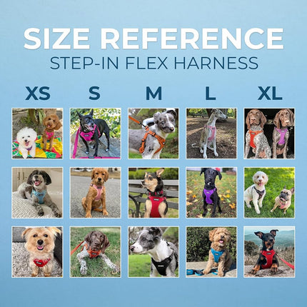 Best Pet Supplies Voyager Adjustable Dog Harness Leash Set with Reflective Stripes for Walking Heavy-Duty Full Body No Pull Vest with Leash D-Ring, Breathable All-Weather Wear - Purple, M