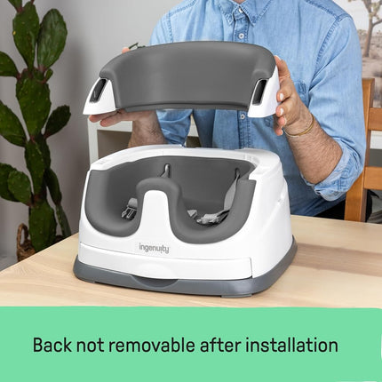 Ingenuity Baby Base 2-in-1 Seat, Slate