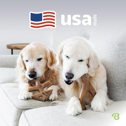 Benebone 2-Pack Fishbone/Wishbone Durable Dog Chew Toys, Dog Bones, Large