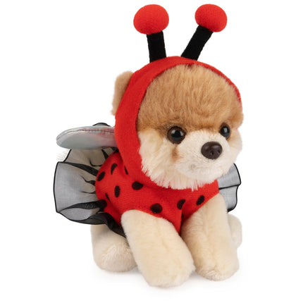 GUND Boo, El Perro Más Lindo del Mundo, Peluche de Mariquita Pomerania para Mayores de 1 año 5"