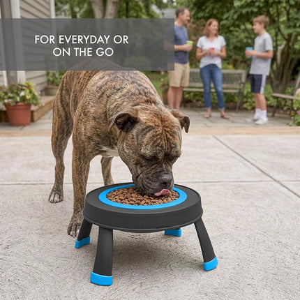 Dexas Single Elevated Feeder Pro Blue