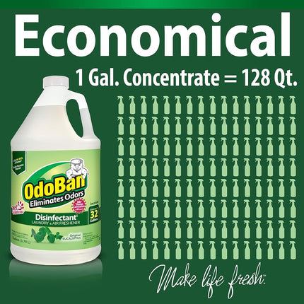 Concentré désodorisant et désinfectant KEXMY Odoban
