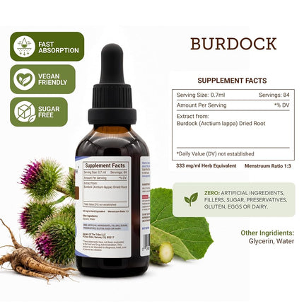Burdock Tincture Alcohol-Free Liquid Extract, Organic Burdock (Arctium Lappa) Dried Root 2 FL OZ