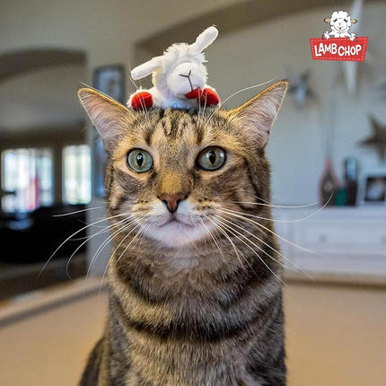 MULTIPET Catnip Lamb Chop 4" Cat Toy By