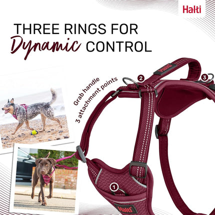 Halti Anatomy Dog Harness with Handle | Size S, Magenta