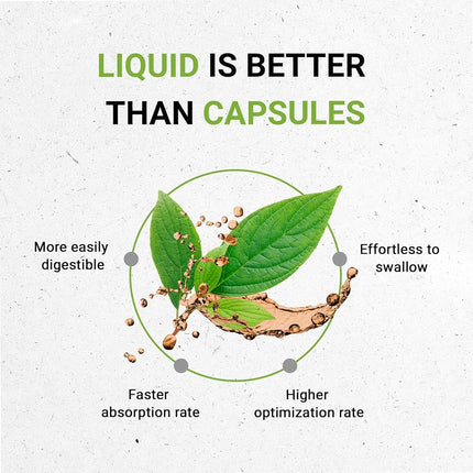 Huang Qin Tincture Alcohol-Free Extract, Organic Huang Qin Scutellaria Root, Radix Scutellariae Baicalensis Remove Heat in The Body 4 OZ