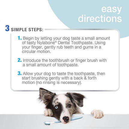 Nylabone Advanced Oral Care Dog Dental Kit Original Flavor 2.5 oz.