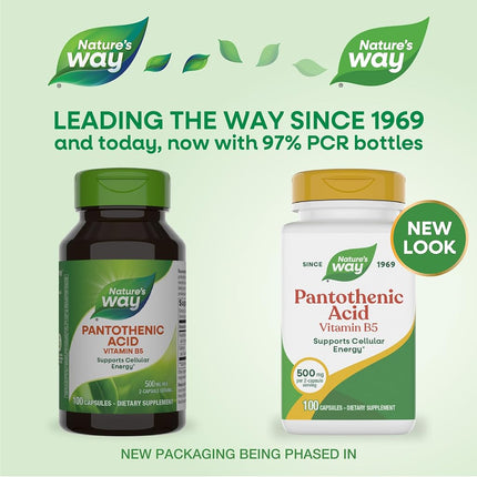 Nature's Way Pantothenic Acid (Vitamin B5) Capsules, 250 mg, 100-Count