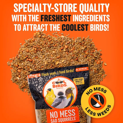 Cool Birds No Mess Sad Squirrels Hot Bird Seed – 10 lb. Spicy Shell-Free Blend with Peanuts, Sunflower Hearts & Chili Pepper Oil – No Waste, Squirrel-Resistant Bird Food for Outside Feeders