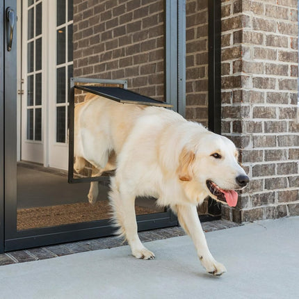 PetSafe Dog Door for Screen Door – Size Large – for Dogs and Cats up to 100 lb – Use in Screen Doors – Window Screens and Porch Screens
