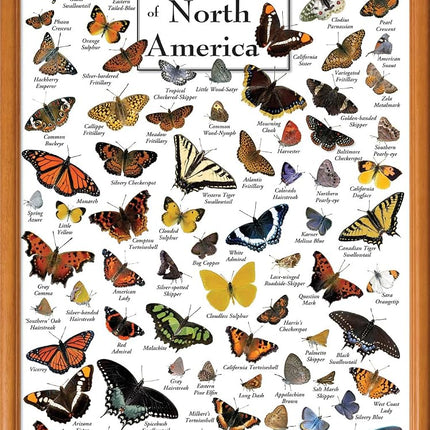 MasterPieces Rompecabezas de 1000 piezas para adultos - Mamíferos del Parque Nacional de Yellowstone - Rompecabezas de Parques Nacionales 19.25"x26.75"