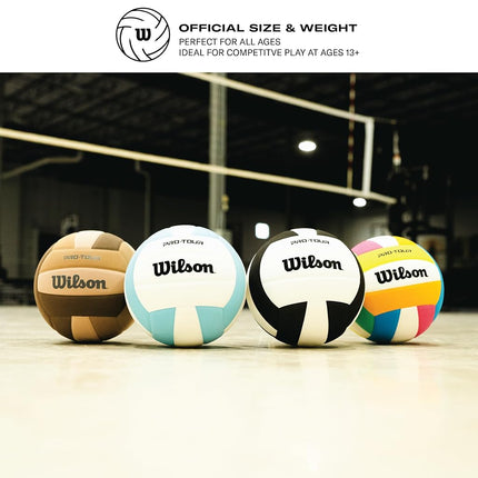 Wilson Pro Tour Indoor Volleyball - Teal/White, Official Size