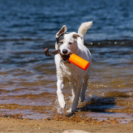 Carhartt Training Dog Retrieving Bumper, Hunter Orange, Large