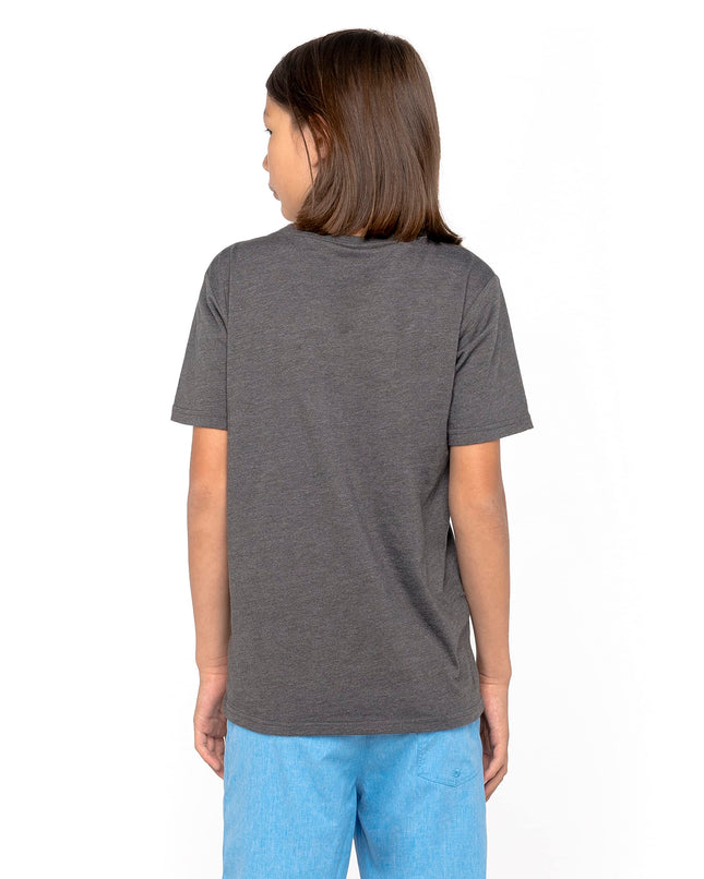 Hurley Boys' One and Only Graphic T-Shirt, Charcoal Heather/Multi, Large