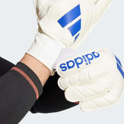 adidas Unisex Goalkeeper Gloves Cup Club, White / Lucid Blue / Solar Red, 12
