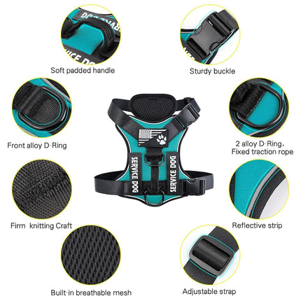 Demigreat Dog Harness, Reflective, Adjustable, Durable, Large (Chest 22.83-38.58 in, Neck 16.14-24.41 in), Turquoise, Safety, Practical, Comfort