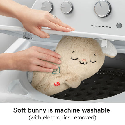 Fisher-Price Soothe & Settle Bunny Baby Toy