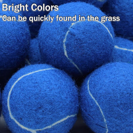 SHYUJAJIE Tennis Balls, 20 Pack Training Tennis Balls,High Elasticity Practice Tennis Balls for Beginner, Exercise Playing Balls for Pet Dog (Dark Blue)