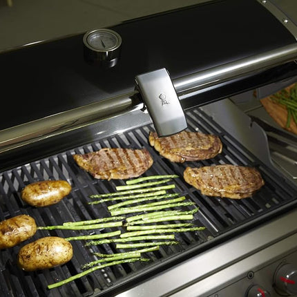 Weber 7661 Luz Grill 'N Go para Mango, Gris
