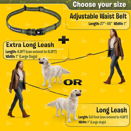 Correa manos libres Pet Dreamland para correr, caminar, hacer senderismo, ciclismo y entrenar con perros. Arnés elástico, cinturón ajustable, asa simple o doble, costuras reflectantes. Perros pequeños, medianos, grandes.